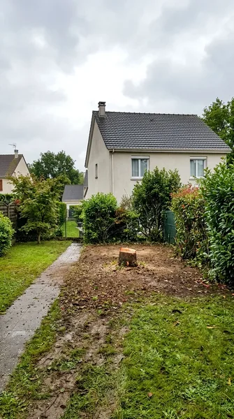 Abattage d'arbre Belfort